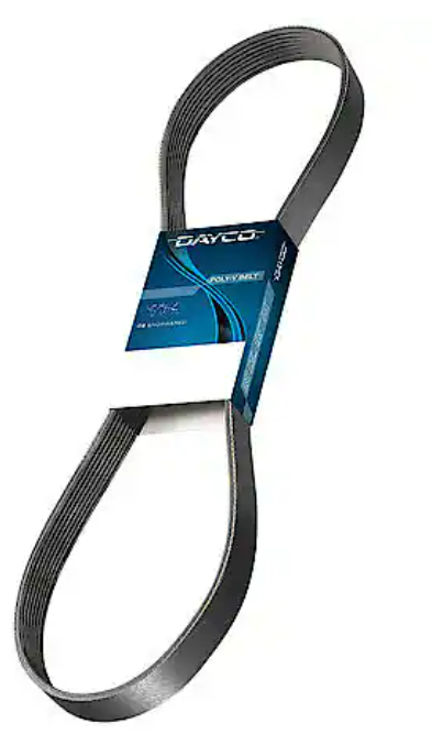 Poly Rib Belt by Dayco